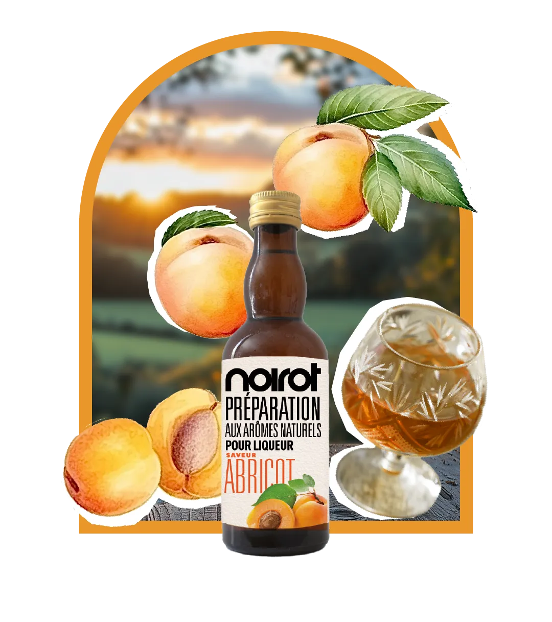 PREPARATION FOR APRICOT FLAVOR LIQUEUR